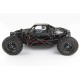 BUGGY TEAM ASSOCIATED AE QUALIFIER SERIES NOMAD DB8 1/8 4WD 2,4Ghz RTR BRUSHLESS
